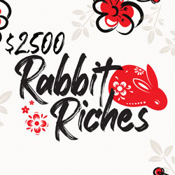 Two lucky winners will be drawn prior to every half-time session to select a Lunar Rabbit and win cash prizes up to $500.