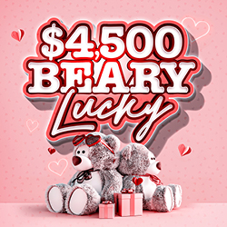 You are beary special to us! Win up to $500 cash. 