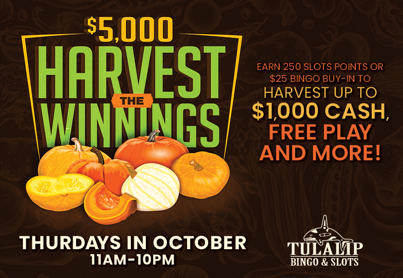 Tulalip Bingo - Harvest your winnings of up to $1,000 cash each Thursday.