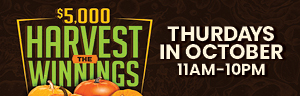 Tulalip Bingo - Harvest your winnings of up to $1,000 cash each Thursday.