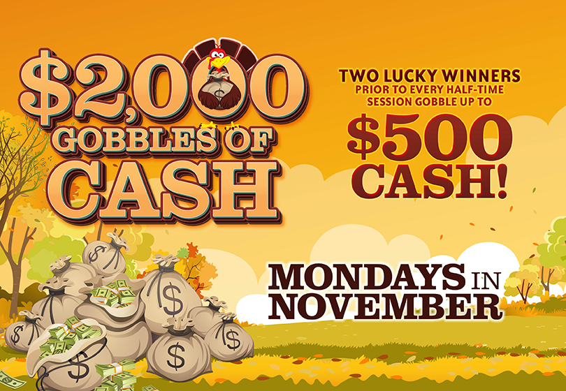 Two LUCKY WINNERS will be drawn prior to every half-time session to select a turkey to win cash prizes up to $500. 