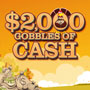 Two LUCKY WINNERS will be drawn prior to every half-time session to select a turkey to win cash prizes up to $500. 