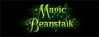Come play an exciting gaming machine like Magic Beanstalk at Tulalip Bingo & Slots north of Seattle.