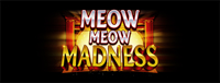 Come play an exciting gaming machine like Meow Meow Madness at Tulalip Bingo & Slots north of Seattle.