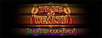 Come play an exciting gaming machine like Tree of Wealth - Jade Eternity at Tulalip Bingo & Slots north of Seattle. 